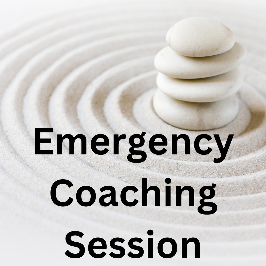 1 EMERGENCY Coaching Session *Existing clients only